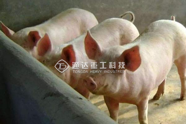  有機肥生產(chǎn)線技術方案，農(nóng)村有機肥廠的投資和利潤分析