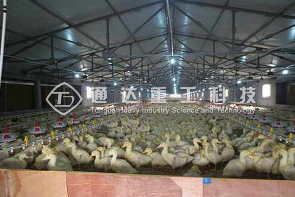 養鴨大棚下面的糞便如何清理?鴨糞有機肥料生產設備怎么配置?