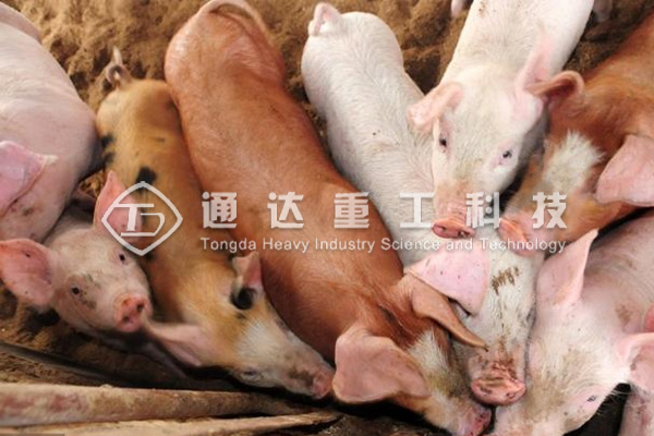  養豬場豬糞處理加工成有機肥投資成本多少?整條有機肥生產線回報利潤有多少?