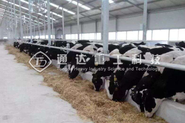 5千頭牛牛糞變有機肥機器有哪些?5000頭牛養殖場配多大產量有機肥設備?