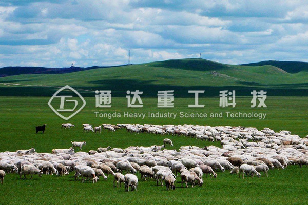 年產(chǎn)1萬噸羊糞有機(jī)肥生產(chǎn)線配置清單，需要投資多少錢